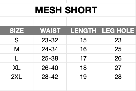 GEOLIFE CHICAGO INSPIRED - MESH SHORT - BLACK