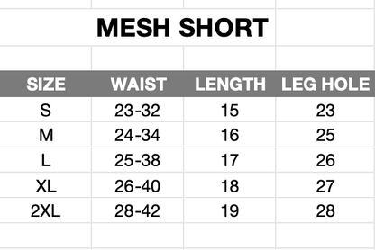 GEOLIFE CHICAGO INSPIRED - MESH SHORT - BLACK